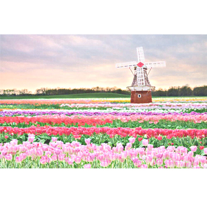 亚洲欧美熟妇久久久久久久久
