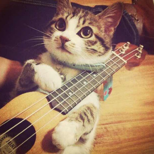 亚洲欧美熟妇久久久久久久久
