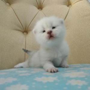 亚洲欧美熟妇久久久久久久久
